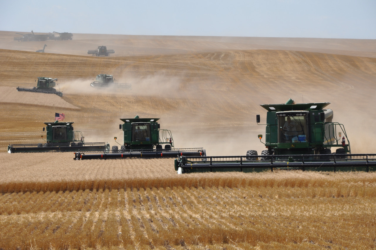Combines At Harvest