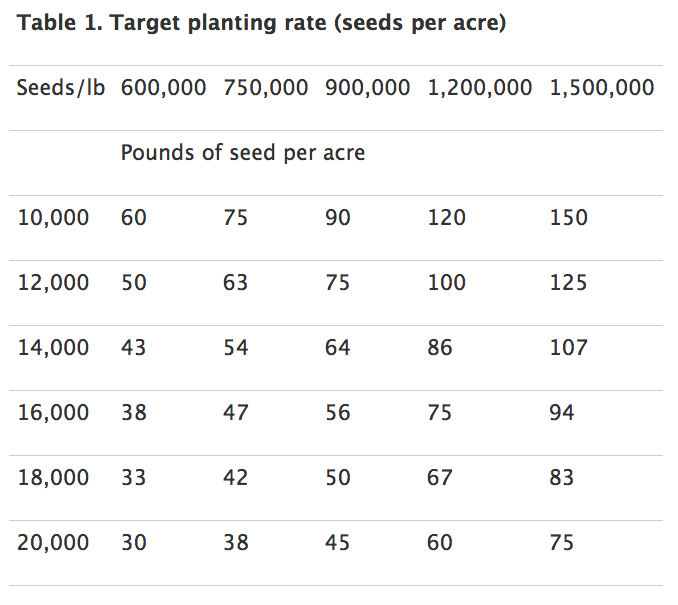 wheat seed size