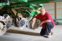 Howard Buffett