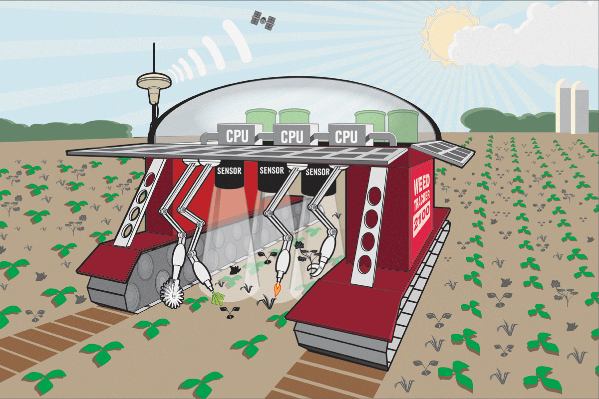 Robotic weed control Robotic weed control