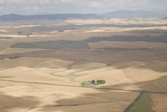 006 palouse fl 0810.webp?alt=006 palouse fl 0810