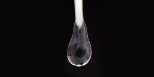 corn drop