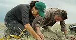 CSU-Rangeland-Carbon-Tracking-Tool.jpeg