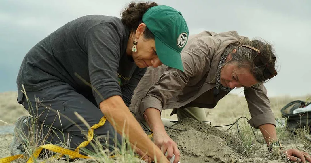 CSU-Rangeland-Carbon-Tracking-Tool.jpeg