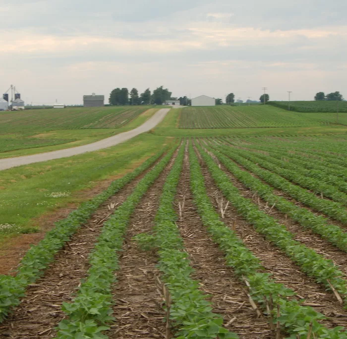 Hughes farm