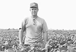Use Deep-Zone Tillage-1.jpg