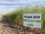 USA_CARINATA_TX Field Day AP-040422-4.jpg