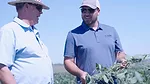 herbicide-press-release.png