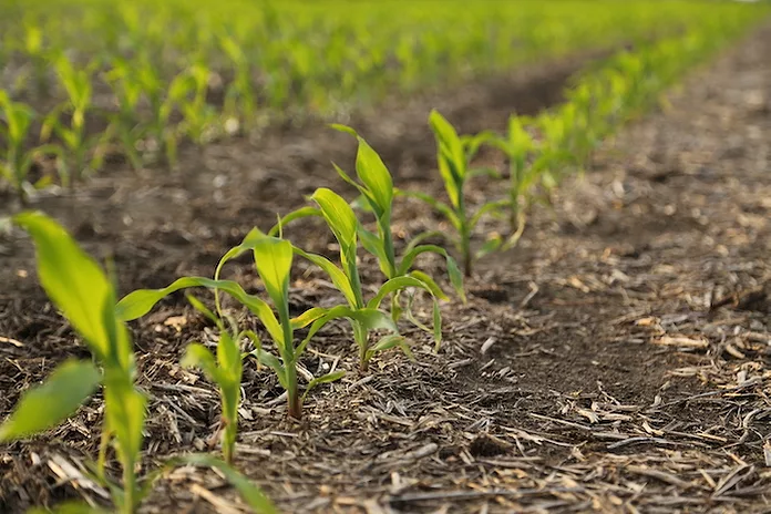 broadleaf herbicides TZone SE Broadleaf Herbicide