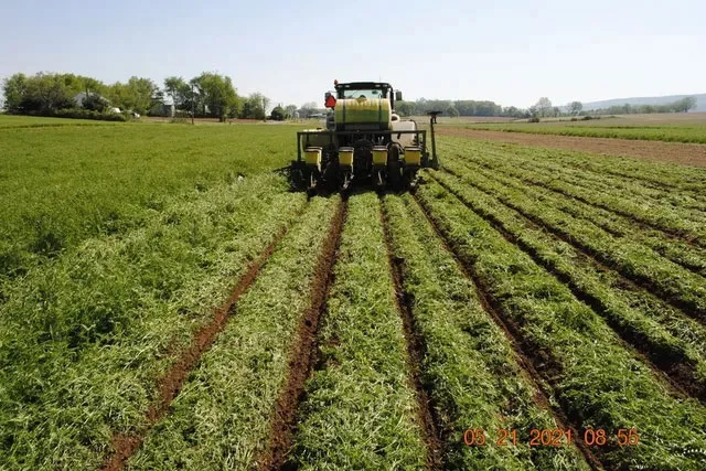 No_till_Planting_Vetch.jpg