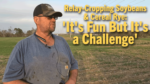 Relay-Cropping-Soybeans-&-Cereal-Rye--'It's-Fun-But-It's-a-Challenge'.png