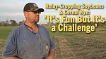 Relay-Cropping-Soybeans-&-Cereal-Rye--'It's-Fun-But-It's-a-Challenge'.png