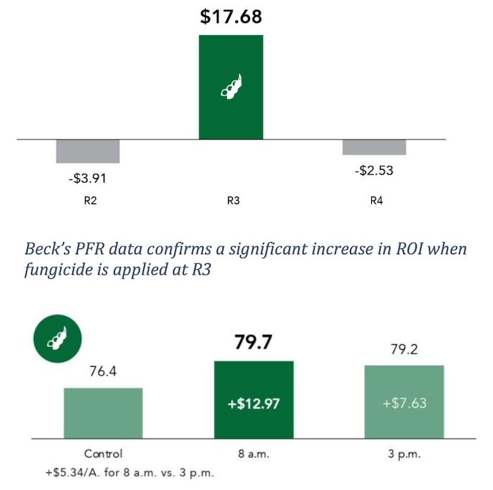 Becks-PFR-graphs