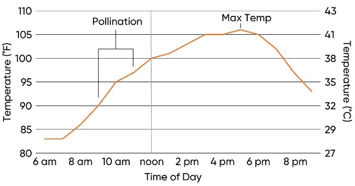 IMG-graph-temp-peak-pollination-Pioneer-NA_US-V1.gif
