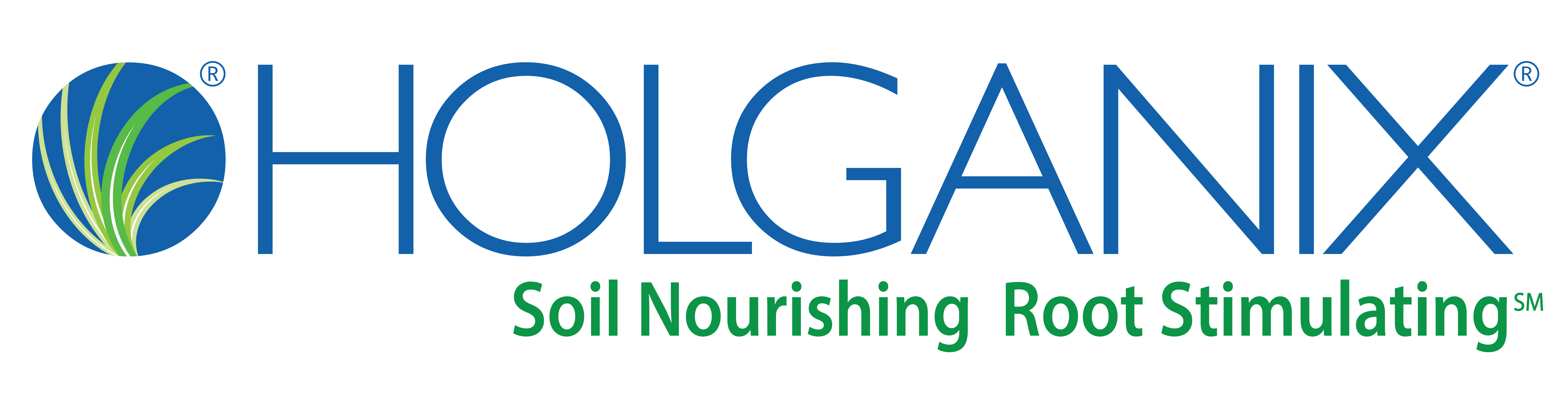 Holganix Logo 2020 (large)-01 (2).png