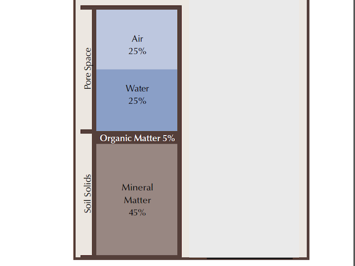 IDEAL HEALTHY SOIL