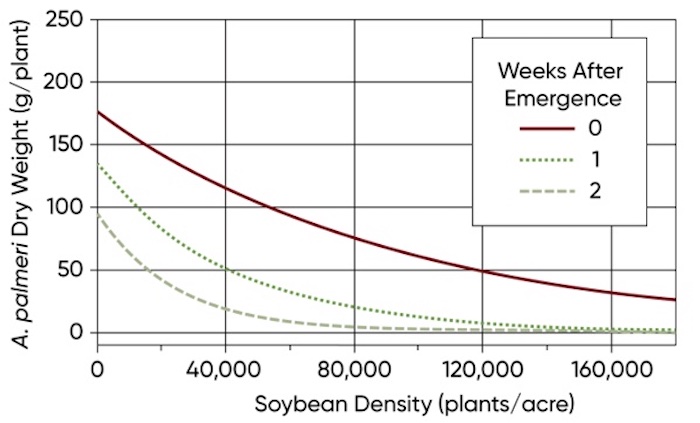 graph1-soybean-palmeramaranth