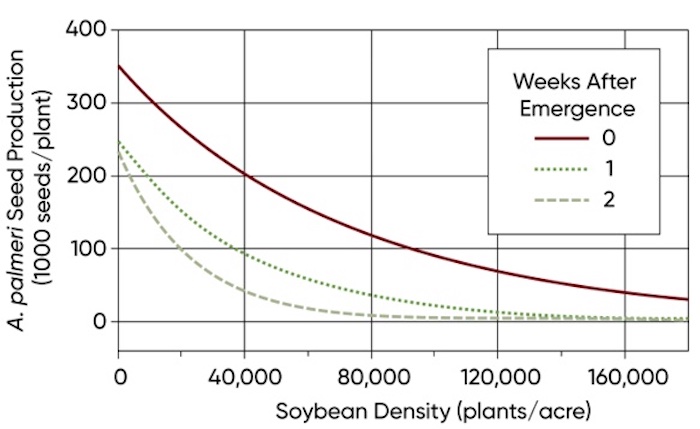 graph2-soybean-palmeramaranth