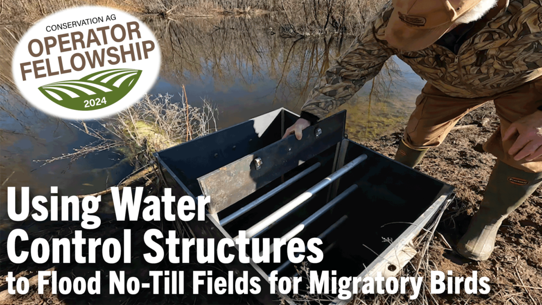 Using-Water-Control-Structures-to-Flood-No-Till-Fields-for-Migratory-Birds.png