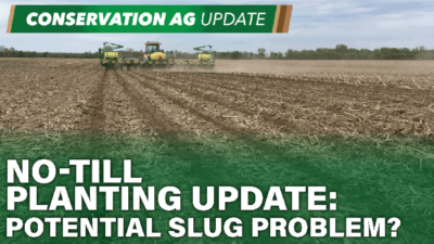 No-Till Planting Update: Potential Slug Problem?