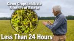 Cover-Crops-Infiltrate-5-Inches-of-Rain-in-Less-Than-24-Hours.png