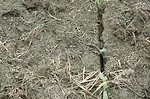 Side Wall Compaction 2024.png