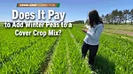 Does-It-Pay-to-Add-Winter-Peas-to-a-Cover-Crop-Mix-.png