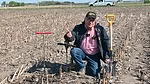 Marion Calmer Previews 2024 National Strip-Tillage Conference.png