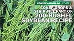 Cover Crops & Strip-Till Part of 200-Bushel Soybean Recipe.jpg