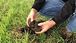The ‘Holy Grail’ of Soil Health.png