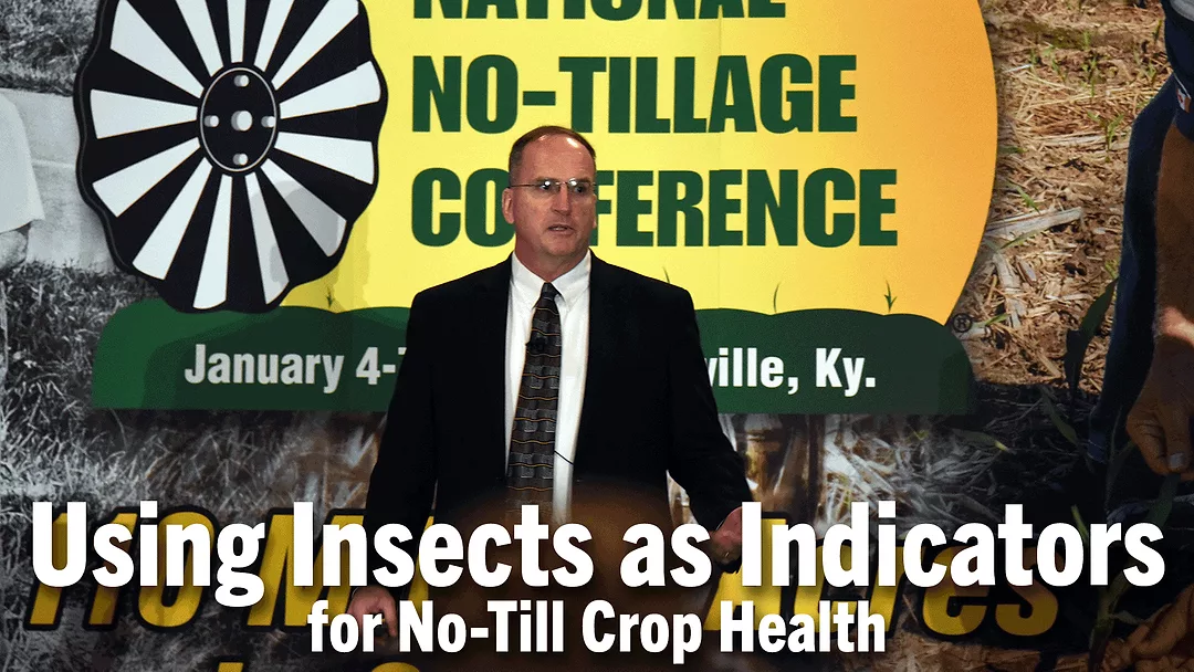 Using-Insects-as-Indicators-for-No-Till-Crop-Health.png