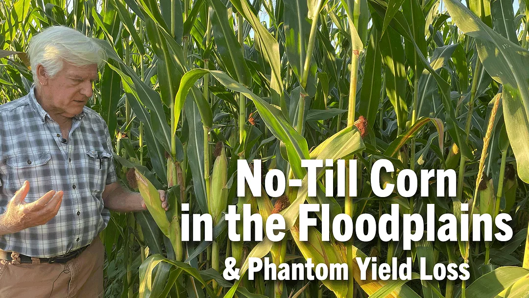 No-Till-Corn-in-the-Floodplains-&-Phantom-Yield-Loss.png