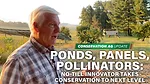 Ponds, Panels, Pollinators- No-Till Innovator Takes Conservation to Next Level.jpg