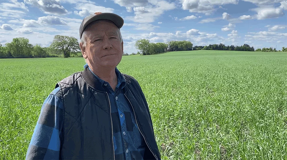 Overcoming-‘Fear-of-Being-Different’-with-Cover-Crops.png