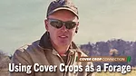 Using-Cover-Crops-as-a-Forage.png