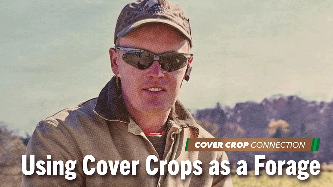Using-Cover-Crops-as-a-Forage.png