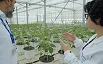 syngenta.png