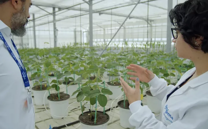 syngenta.png