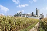 Biofuels.png