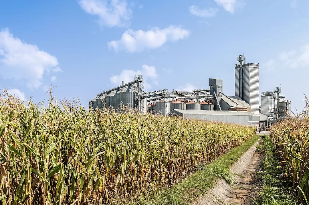 Biofuels.png
