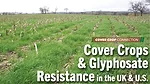 Looking-Into-Cover-Crops-&-Glyphosate-Resistance-in-the-UK-&-U.S..png
