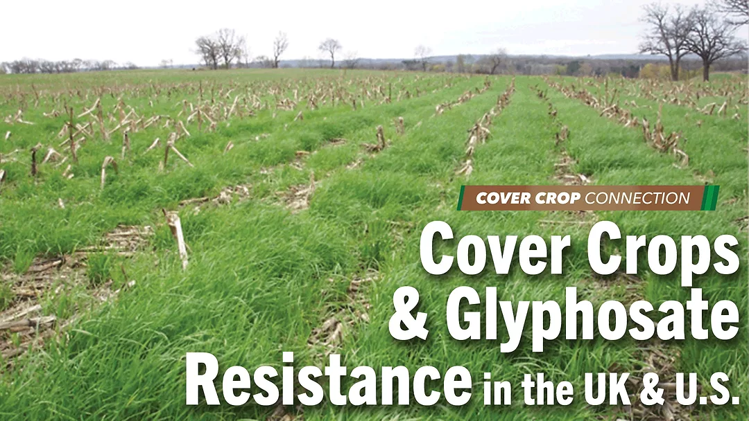 Looking-Into-Cover-Crops-&-Glyphosate-Resistance-in-the-UK-&-U.S..png