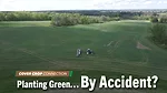 Planting-Green…-By-Accident-.png