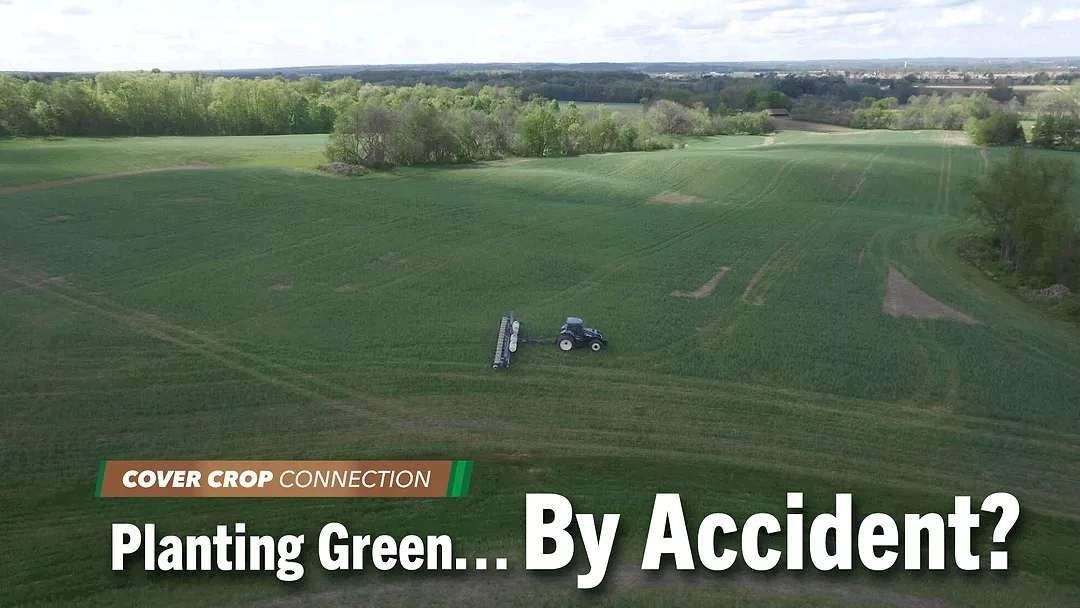 Planting-Green…-By-Accident-.png