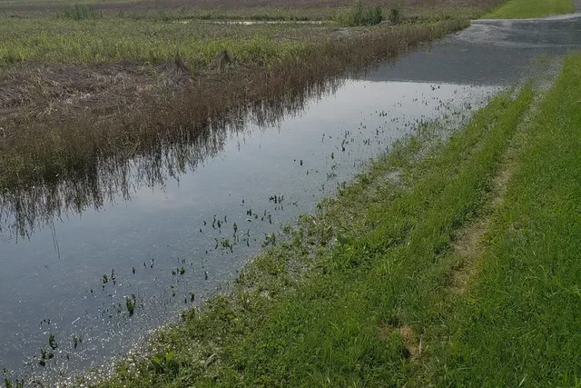Handling Herbicide Applications During Heavy Rainfall