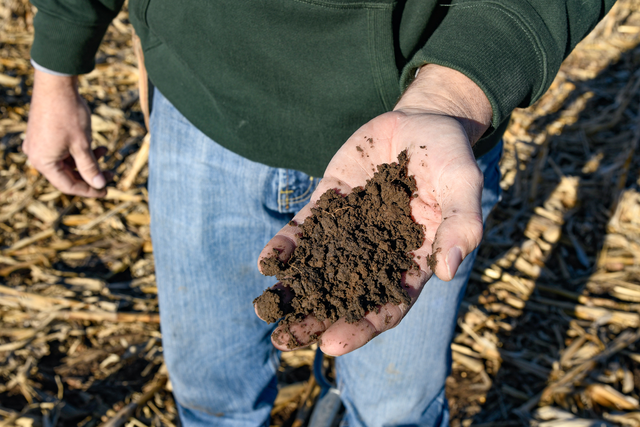 Picking up soil with hand