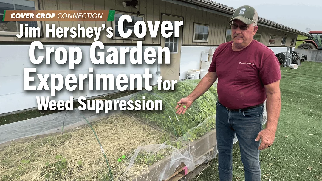 Jim-Hershey’s-Cover-Crop-Garden-Experiment-for-Weed-Suppression.png