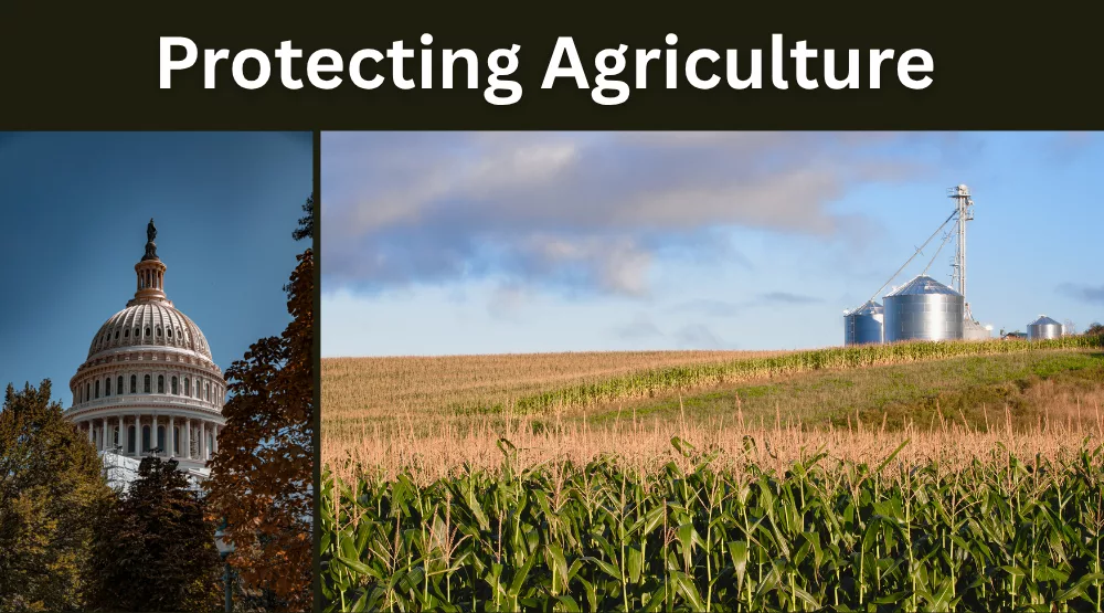 Protecting Agriculture.png