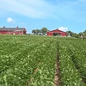 AgroLiquid Sample Main.jpg