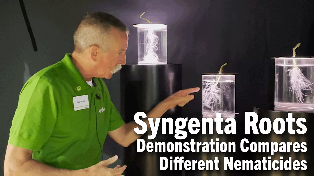 Syngenta-Roots-Demonstration-Compares-Different-Nematicides.png